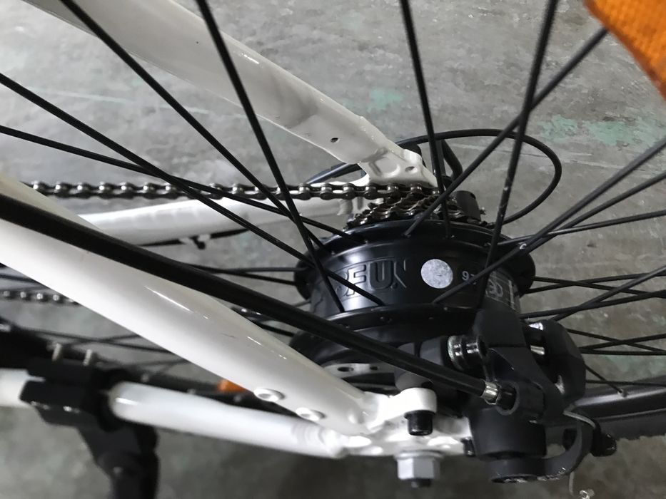 Bicicicleta electrica