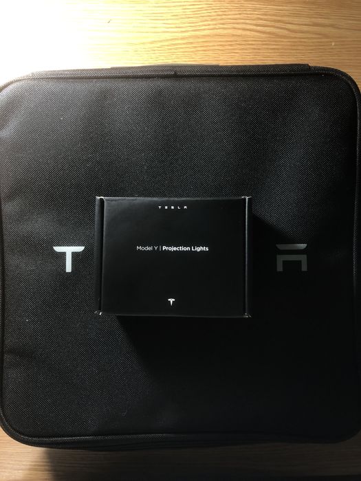 Proiector ușă Tesla