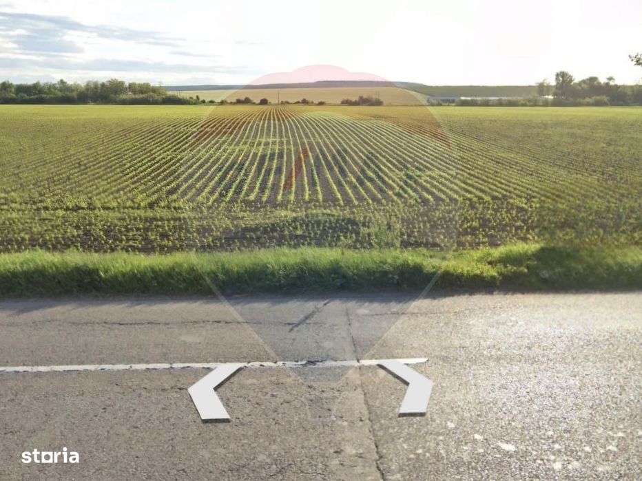 Teren 13.773mp de vânzare, Bogdan Voda / E85