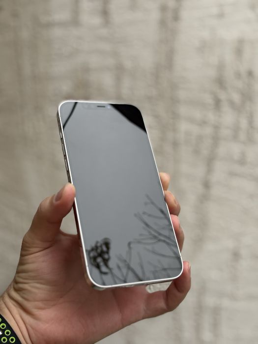 iPhone 12 Pro Max 256 gb
