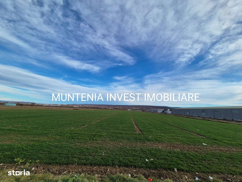 Teren intravilan 23504 mp. com.Mărăcineni,sat Argeselu.