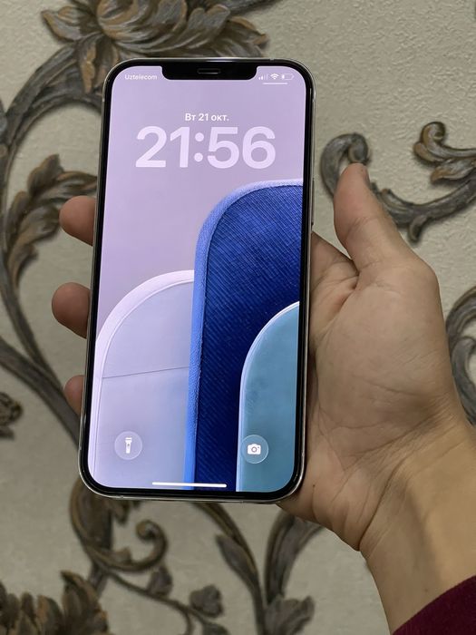 iPhone 12 pro max