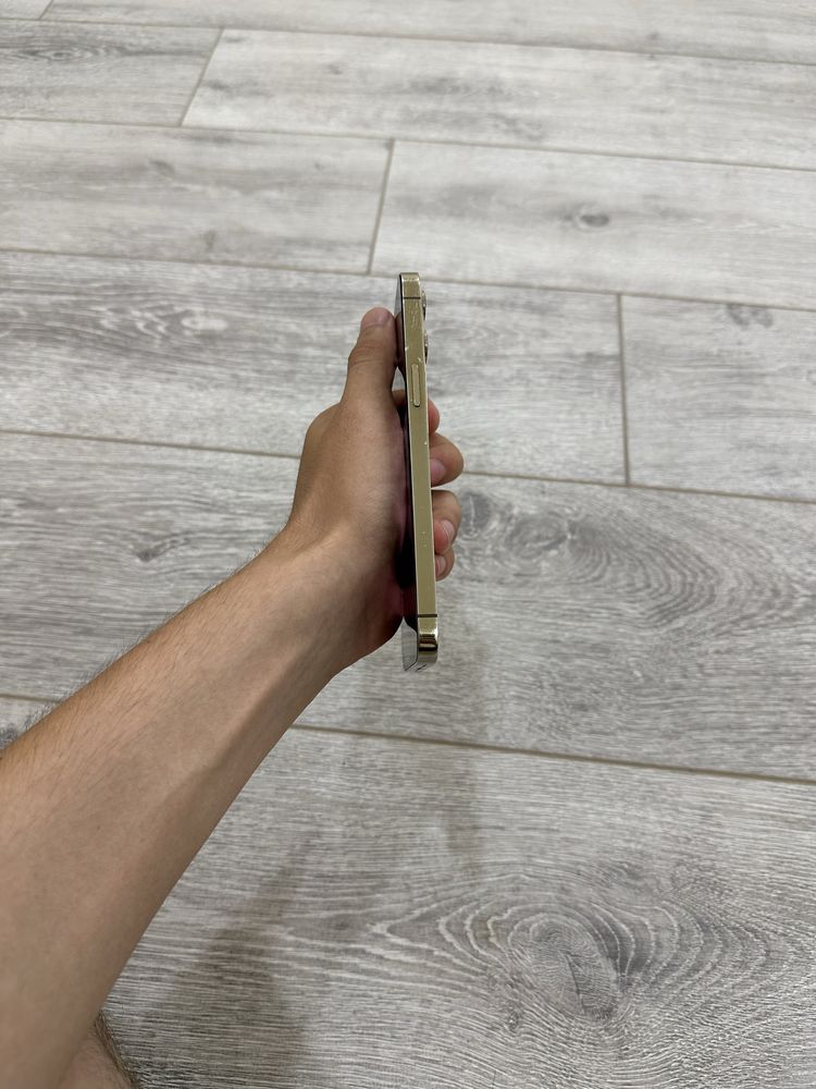 IPhone 12 Pro Max 256 Gb