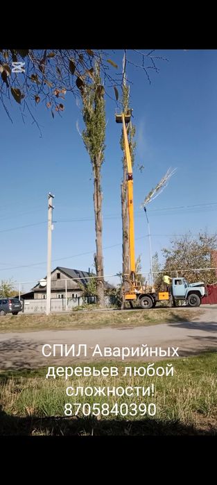 СПИЛ Аварийных деревьев!