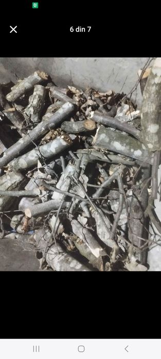 Tăietor crengi după tractor Remet R150