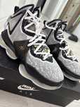 NIKE LeBron19 “Royalty”