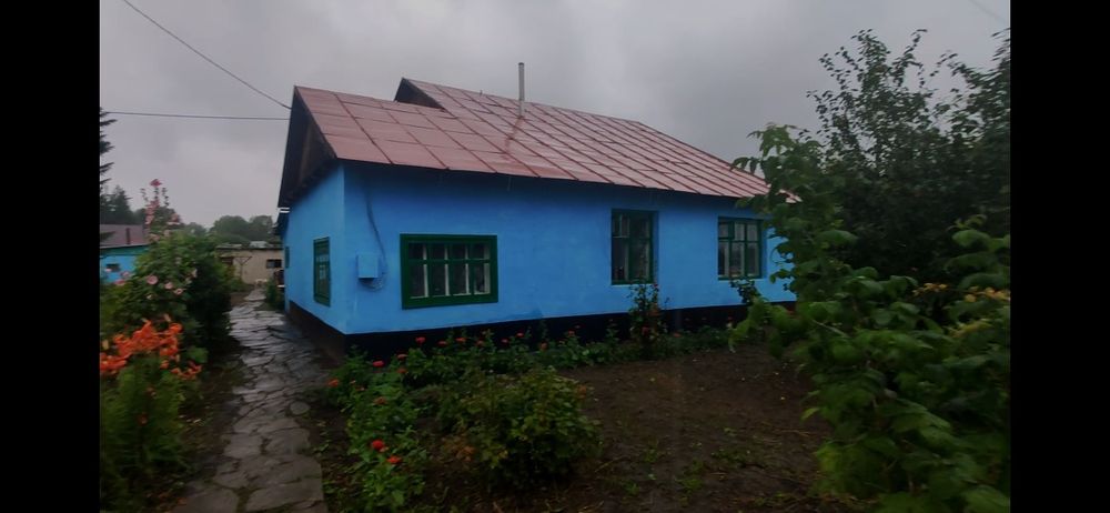 Продам дом в Алтайском (Зыряновском) районе Село Чапаева