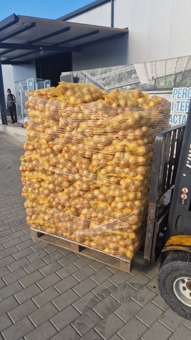 Ceapa import Sac 5kg