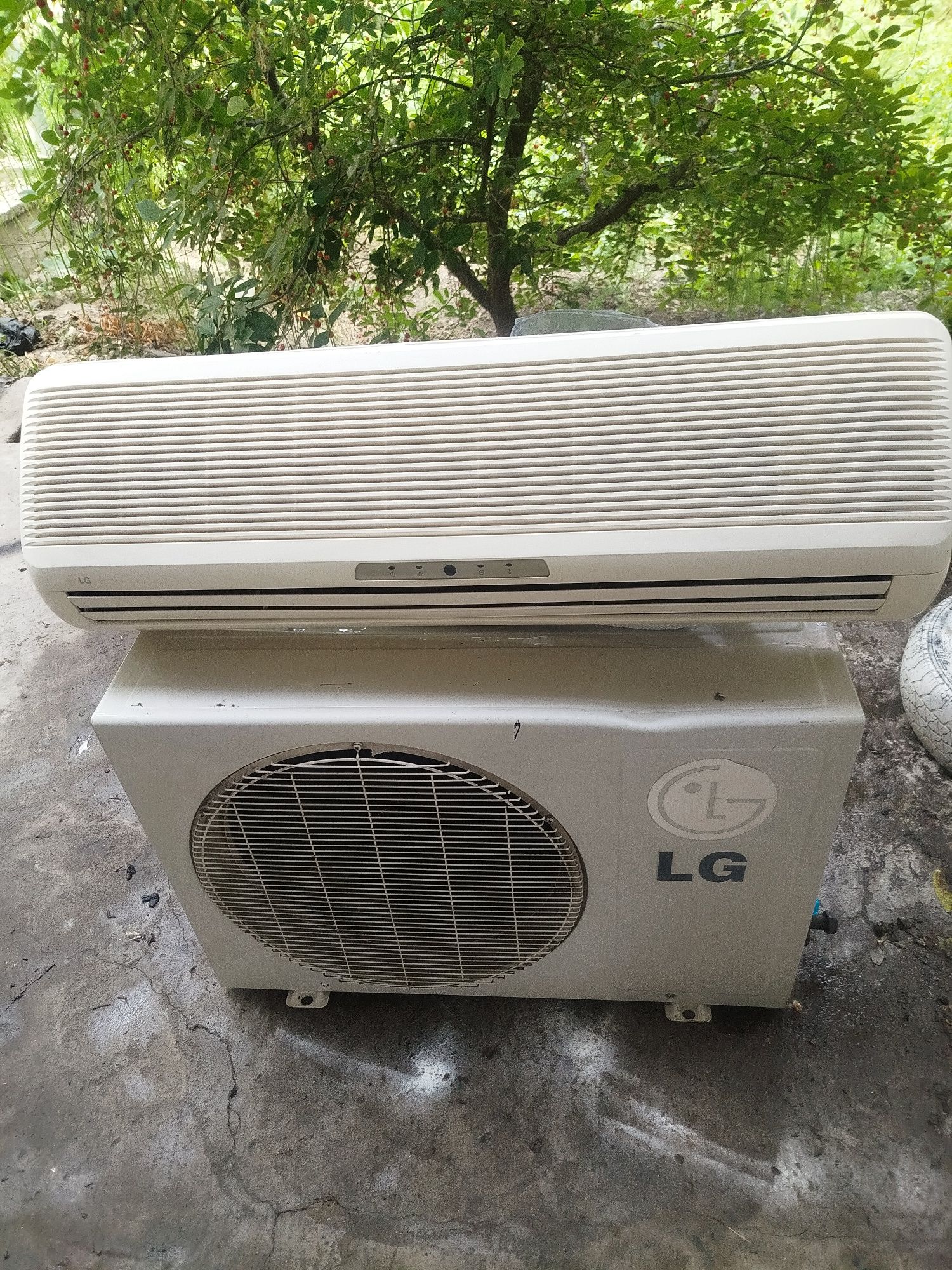Kandisaner sotiladi LG 12 talik