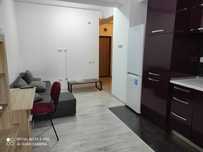 Apartament cu o cameră Palas Lazăr Residence