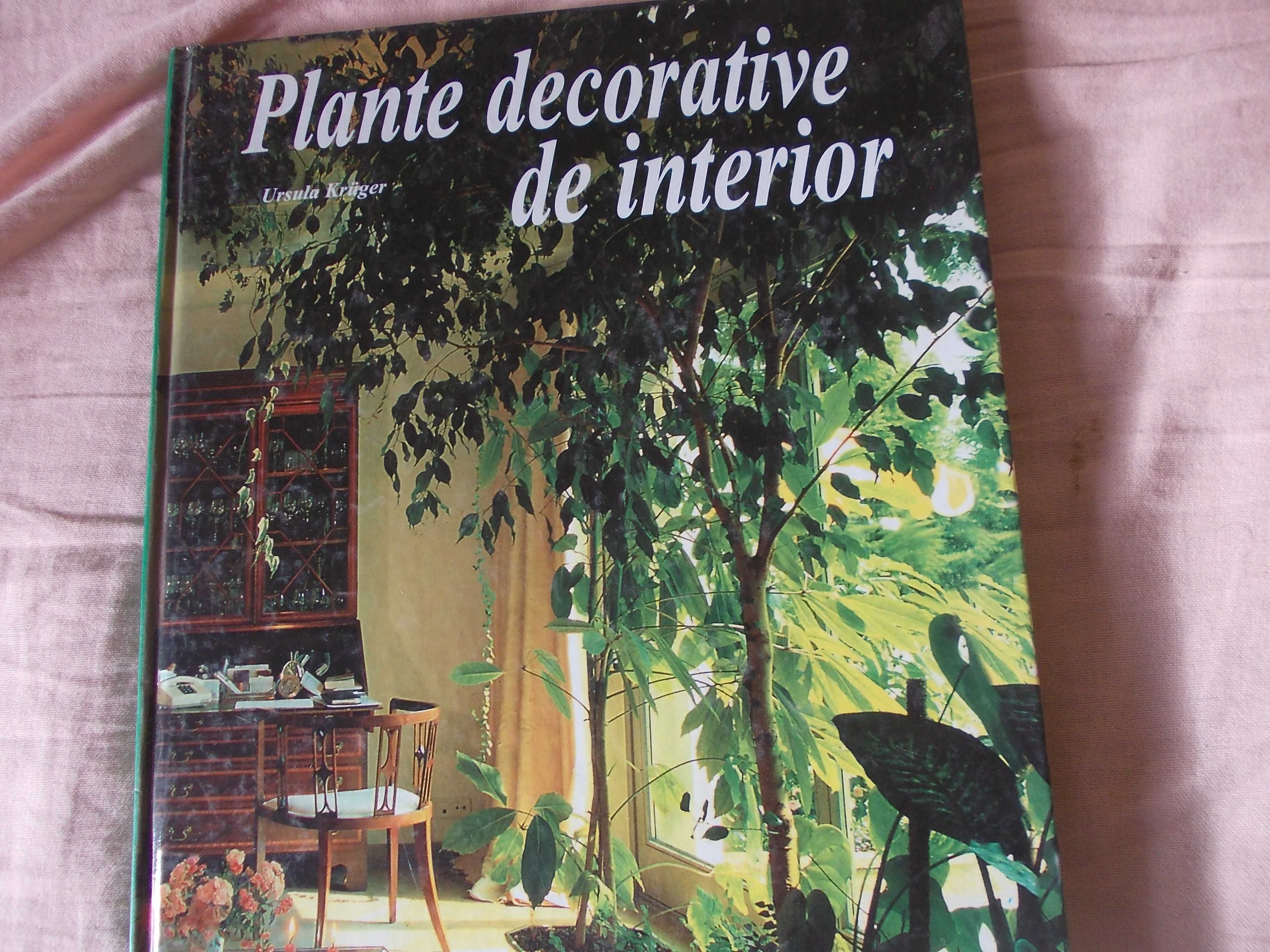 Plante decorative de interior,ale carti