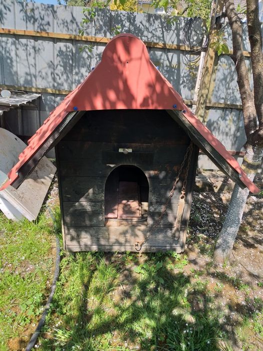 Căsuța pentru câini (animalute de companie)