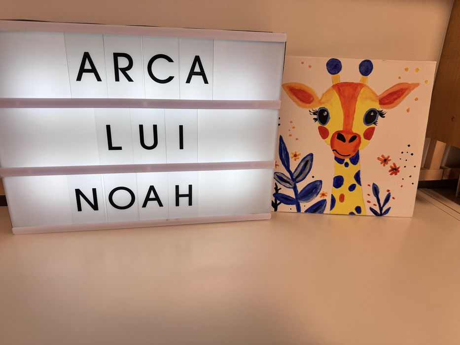 AFTERSCHOOL ARCA LUI NOAH – teme şi activități creative şi recreative