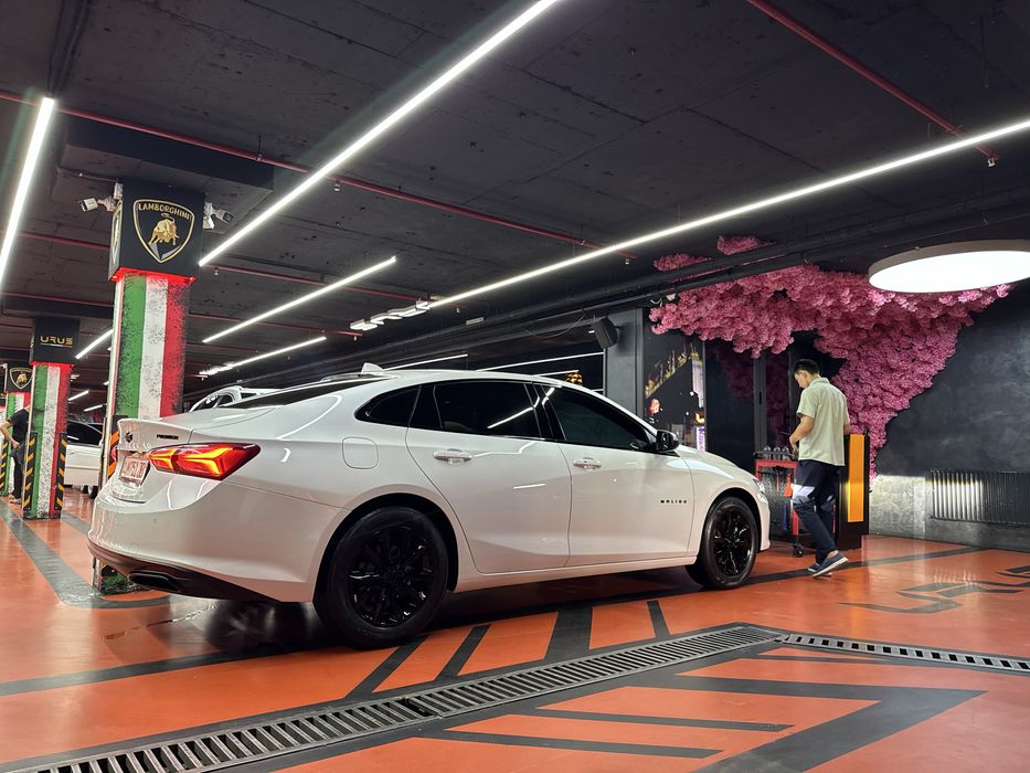 Malibu 2 premiere 2020 oq jemchug ozimniki sotiladi. Tanirovka 10 oy.