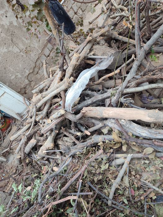 O'tin утин сотилади