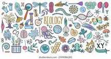 Meditatii biologie/ anatomie pentru examenul de bacalaureat