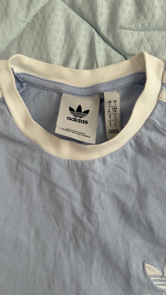 The north face, Ralph lauren, Adidas