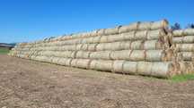 Vand baloti paie triticale productie 2025