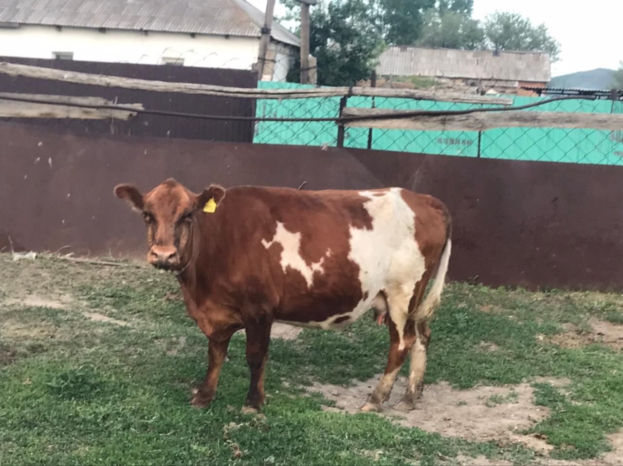 Продам дом. Уланском районе село Жанузак