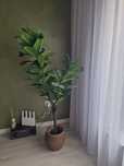 Planta artificala