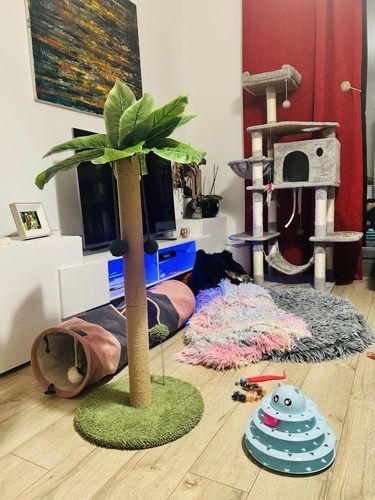 ansamblu de joaca pentru pisici - palmier din sisal pentru zgariat