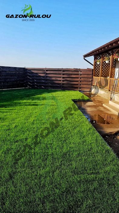 Gazon Natural Rulou