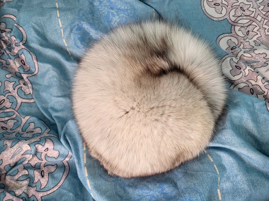 Blana de vulpe deosebita