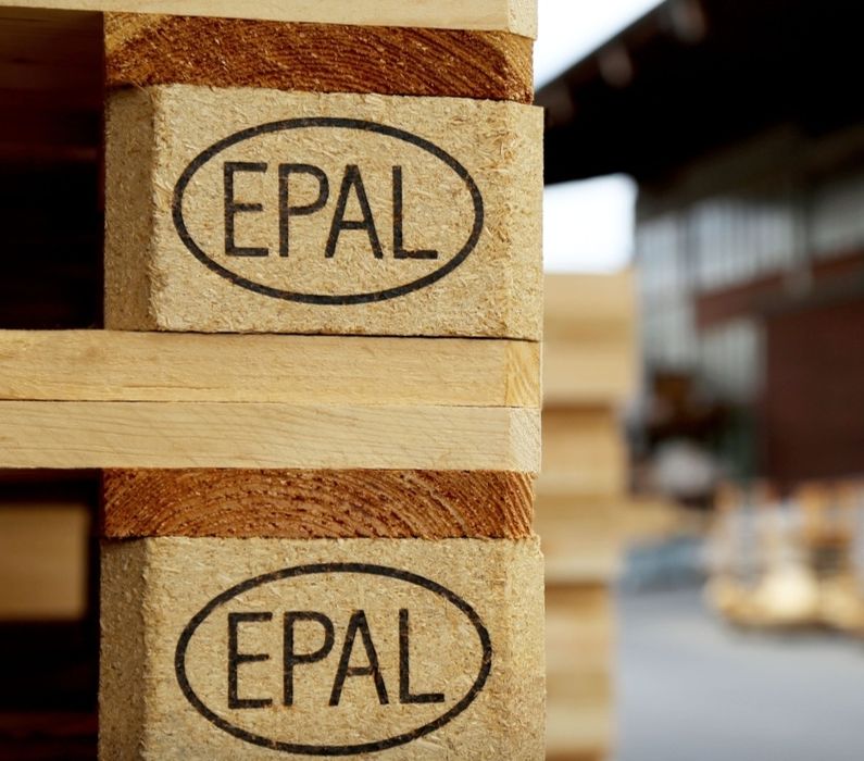 Dispozitiv de marcat prin ardere lemn  paleti europaleti fito sanitar