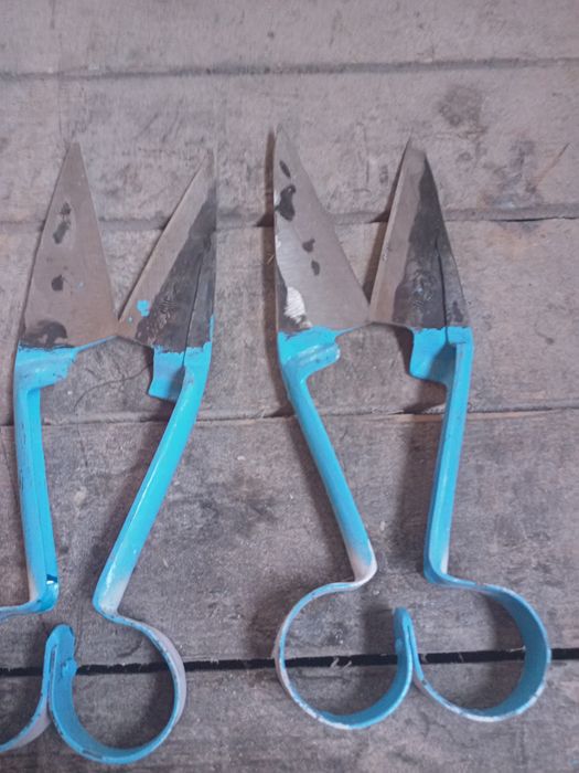 Vând foarfeci de tuns oi