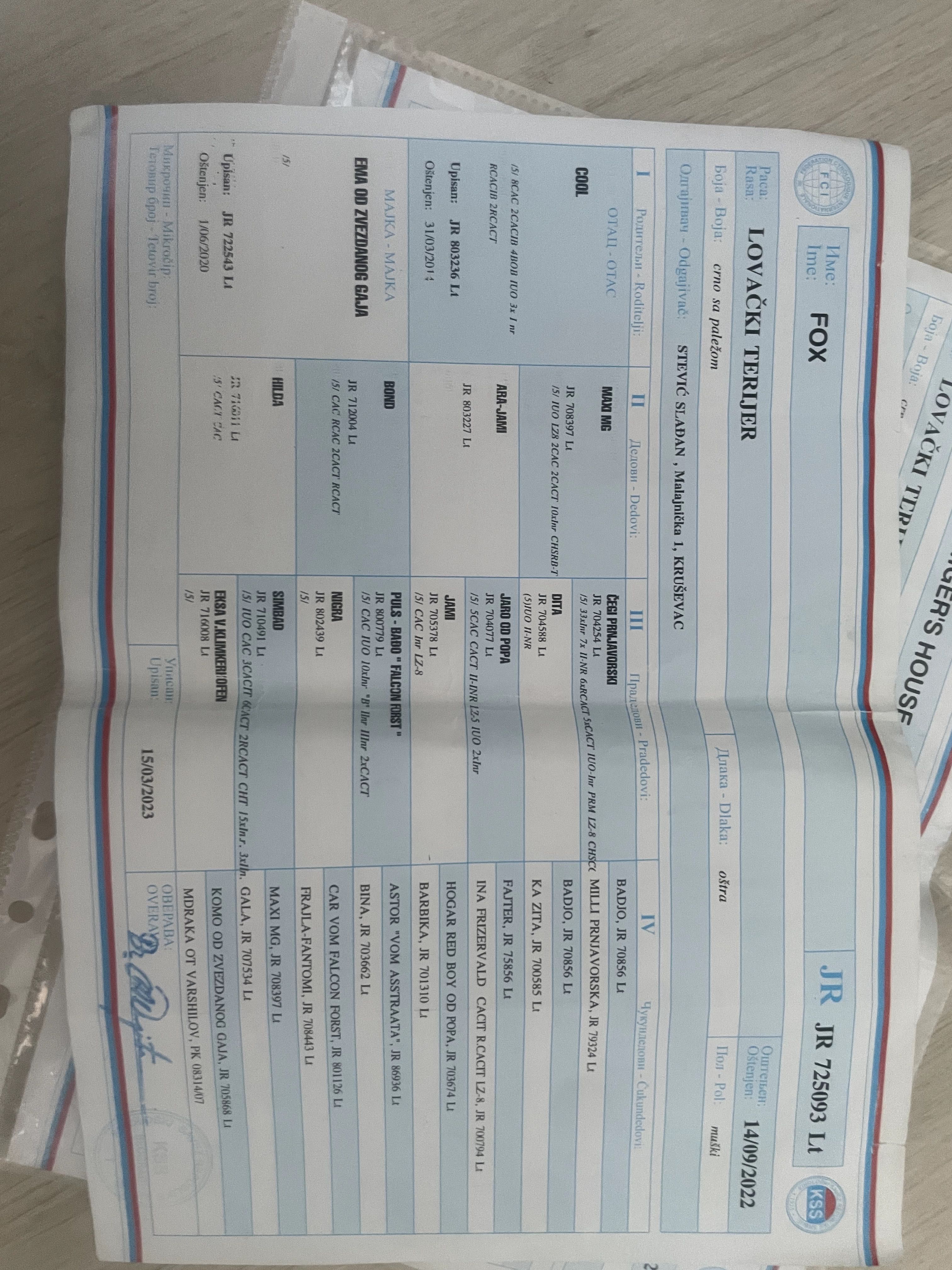 Продавам мъжки ягдтериер
