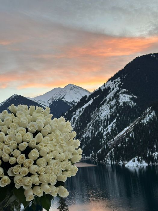 Продам розы свежие