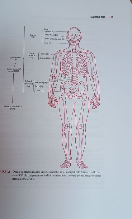 BARRON'S-manual admitere medicină