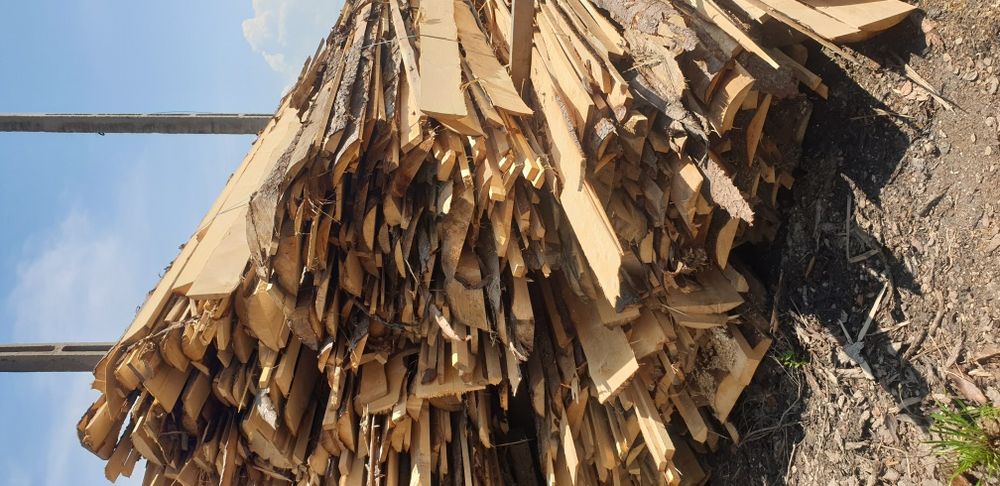 Deșeuri de foc molid brad - orlat