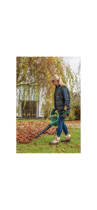 Gardentidy 2300 bosch