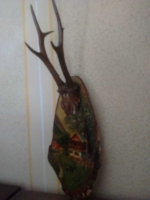 Coarne de caprior