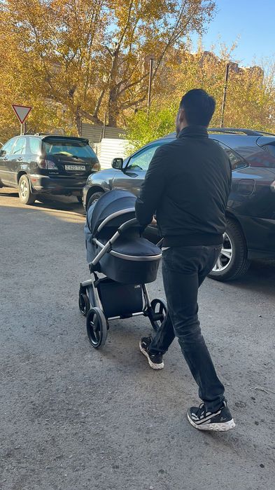 Коляска anex Ltype