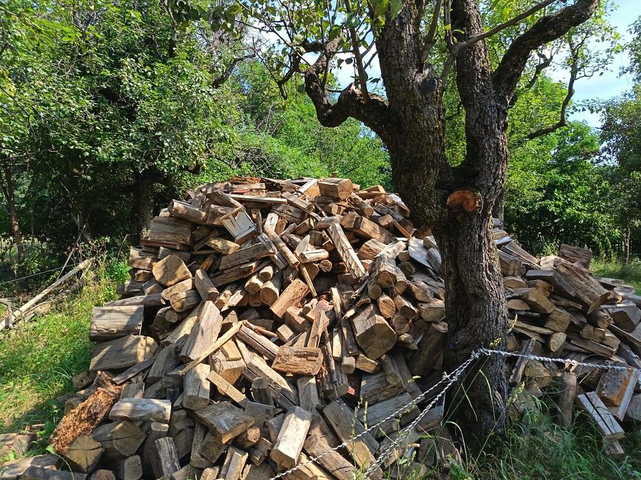 Lemn uscat de foc stejar, prun