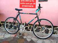 Bicicleta 200 lei bucata