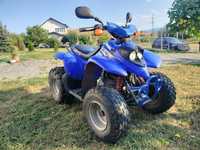 ATV Aeon Cobra 100s 2T