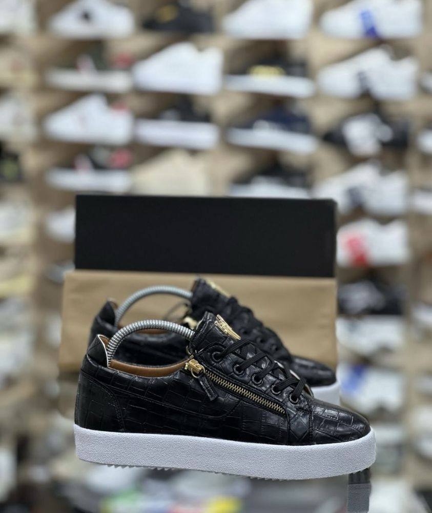 Sneackers giuseppe Zanotti