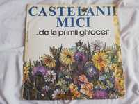 Disc vinil pick up Castelanii Mici