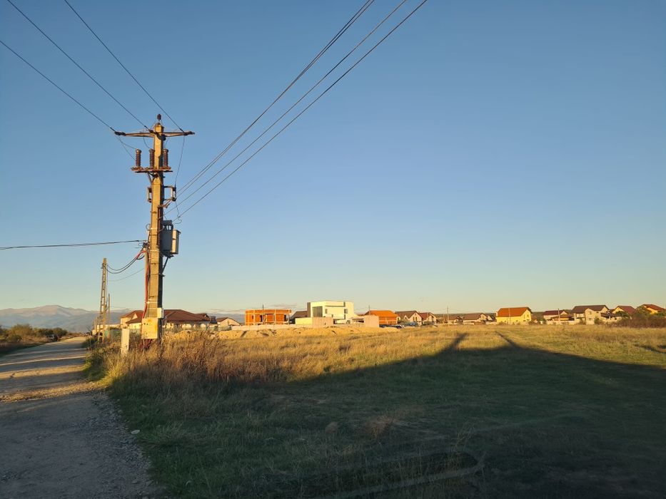 Loturi teren Narcise Tg-Jiu