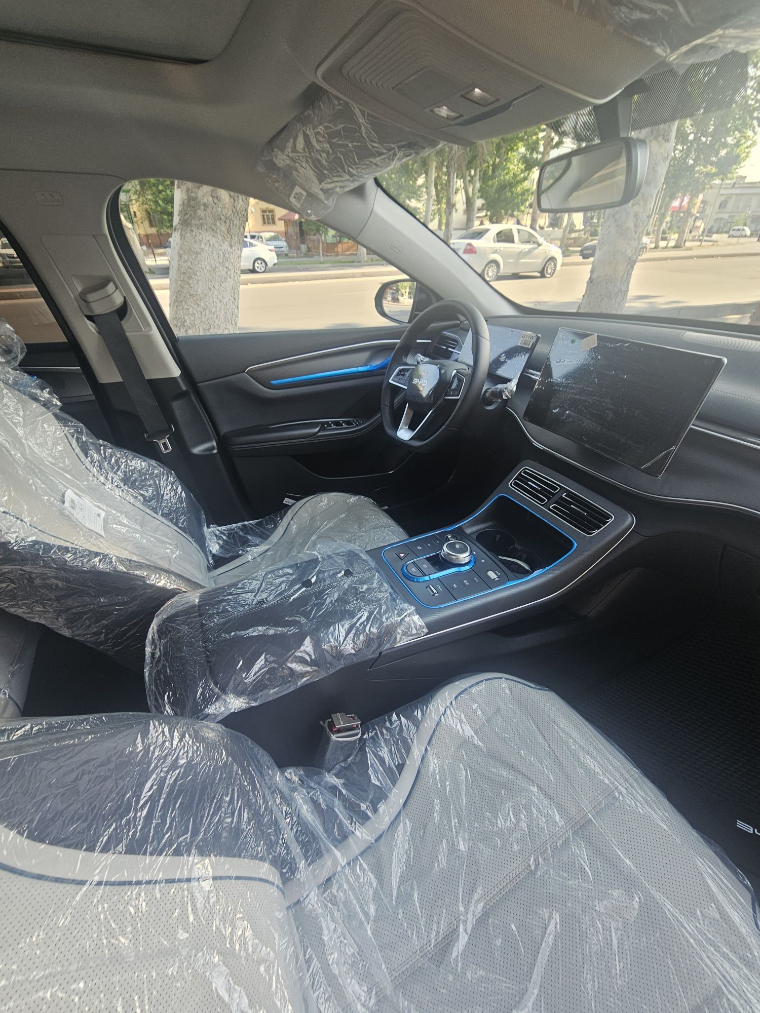 BYD Chazor idial