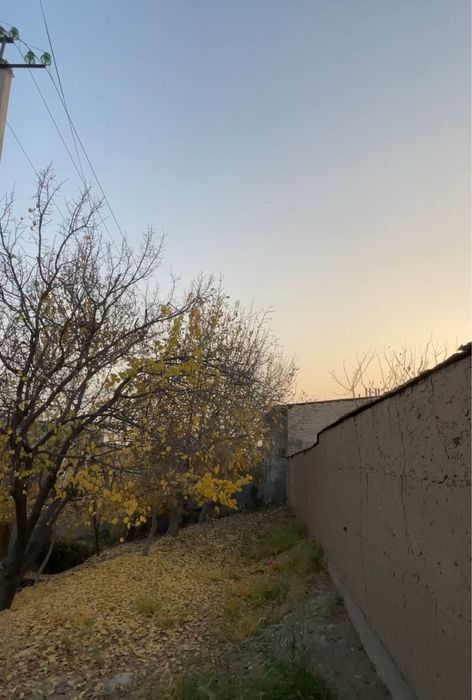 Toshkent tumani toshmi posti OLTIN TEPA