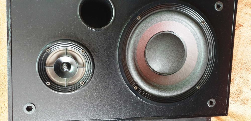 Bose Interaudio 3000XL