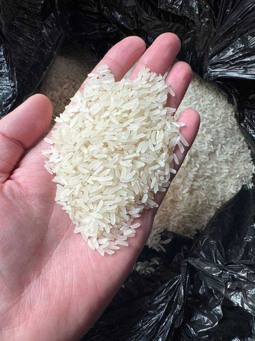 Гуруч лазер, янги хосил, оптом нархларда