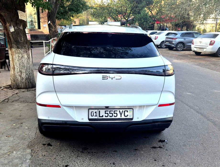 BYD SeaLion-06 605 Pilot Plus. белый салон