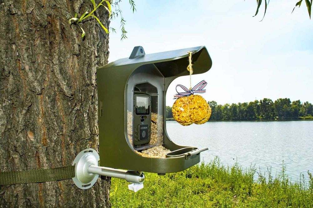 Cameră supraveghere vânătoare observare animale salbatice pasari