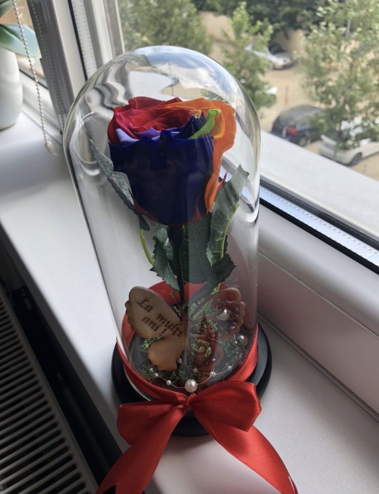 Trandafir multicolor criogenat