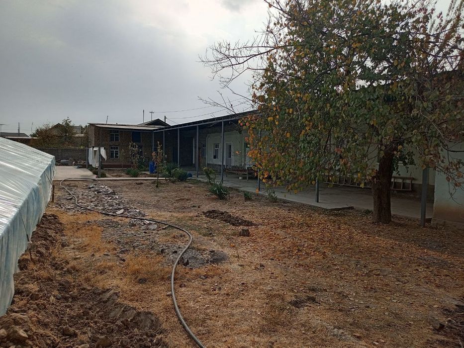 Kotta xovli sotiladi  sirdaryo tumani Sirdaryo shaxri .